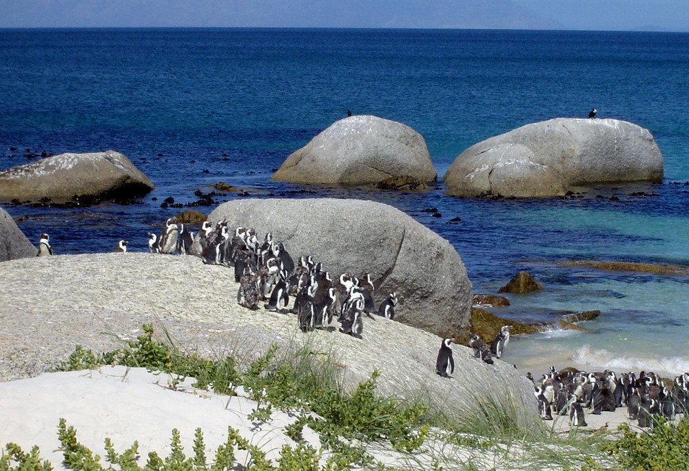 Südafrikas Strand