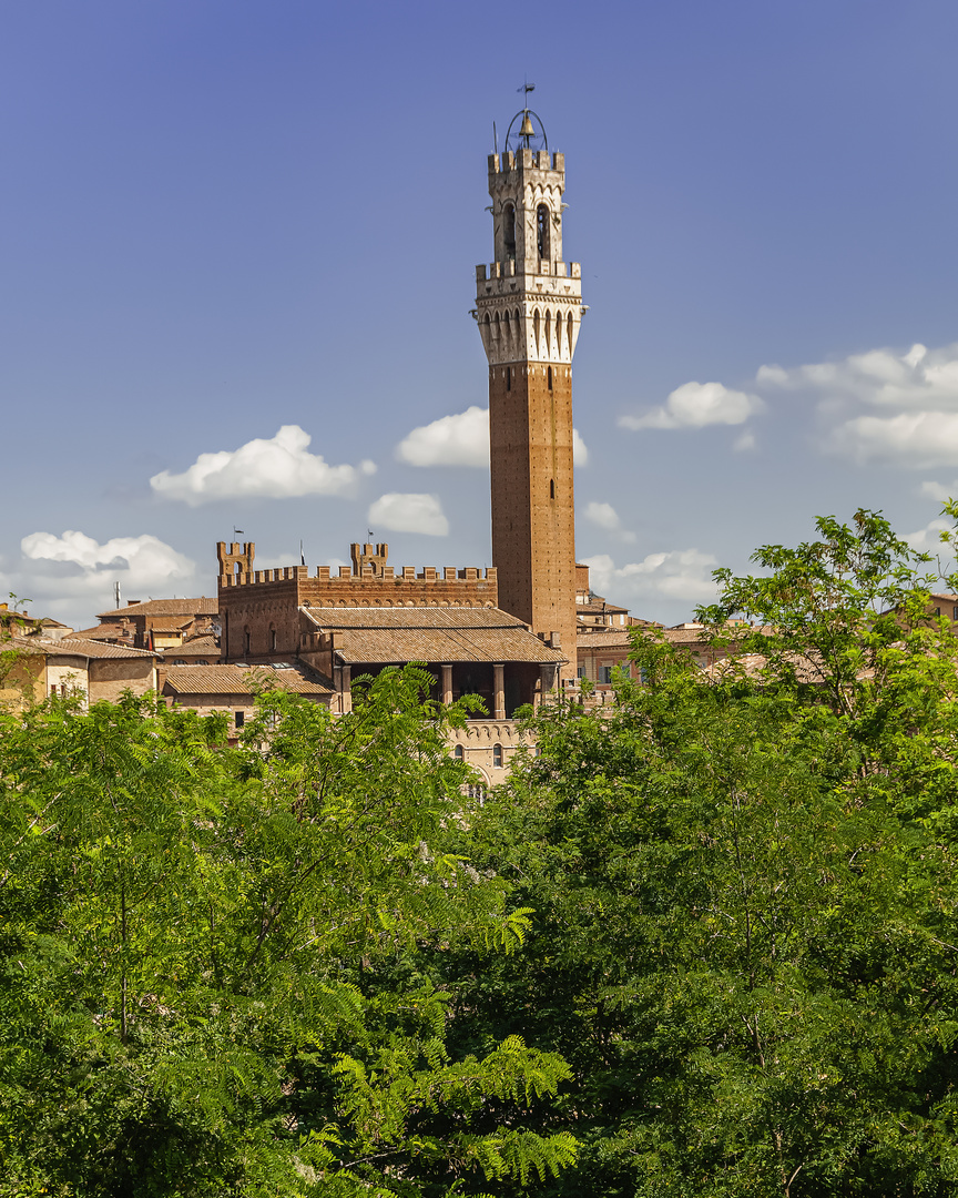 Südansicht Torre del Mangia