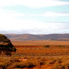 Südaustralische Landschaft (1)