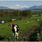 Südbahn unter der Rigi