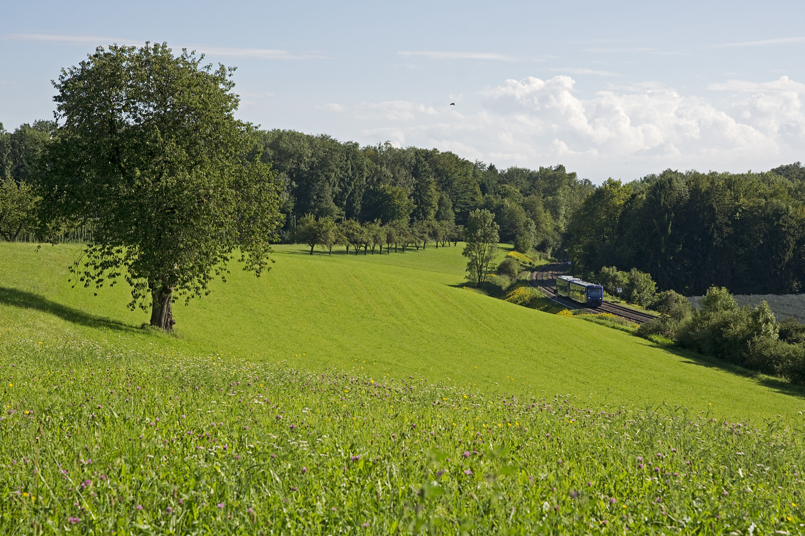 Südbahn XII