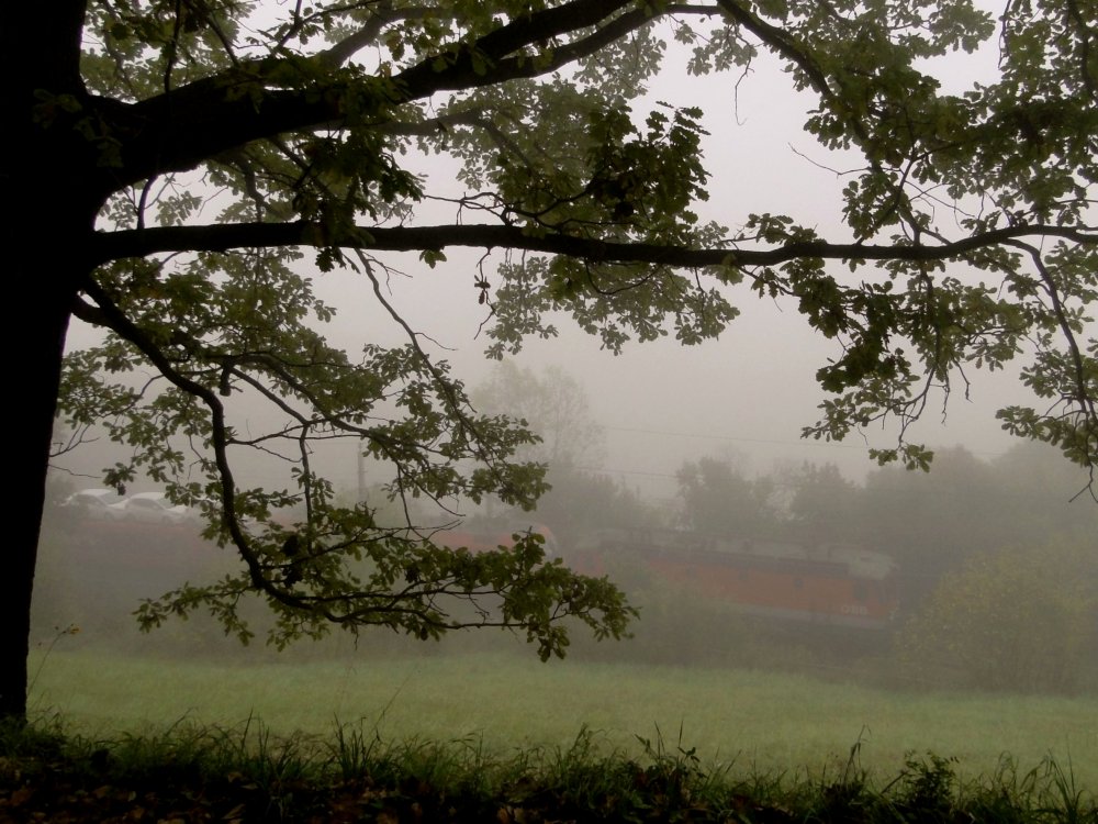 Südbahnexkursion 2014 - Nebel verengt den Blick ...