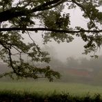 Südbahnexkursion 2014 - Nebel verengt den Blick ...