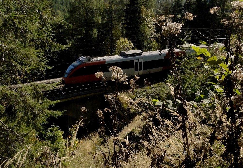 Südbahnexkursion 2014 - Vor-Zug