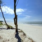 Südblick am Weststrand