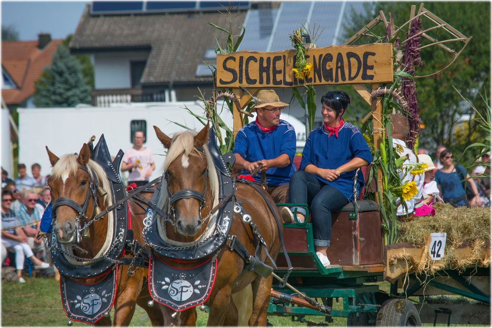 Süddeutsche Sichelhengade