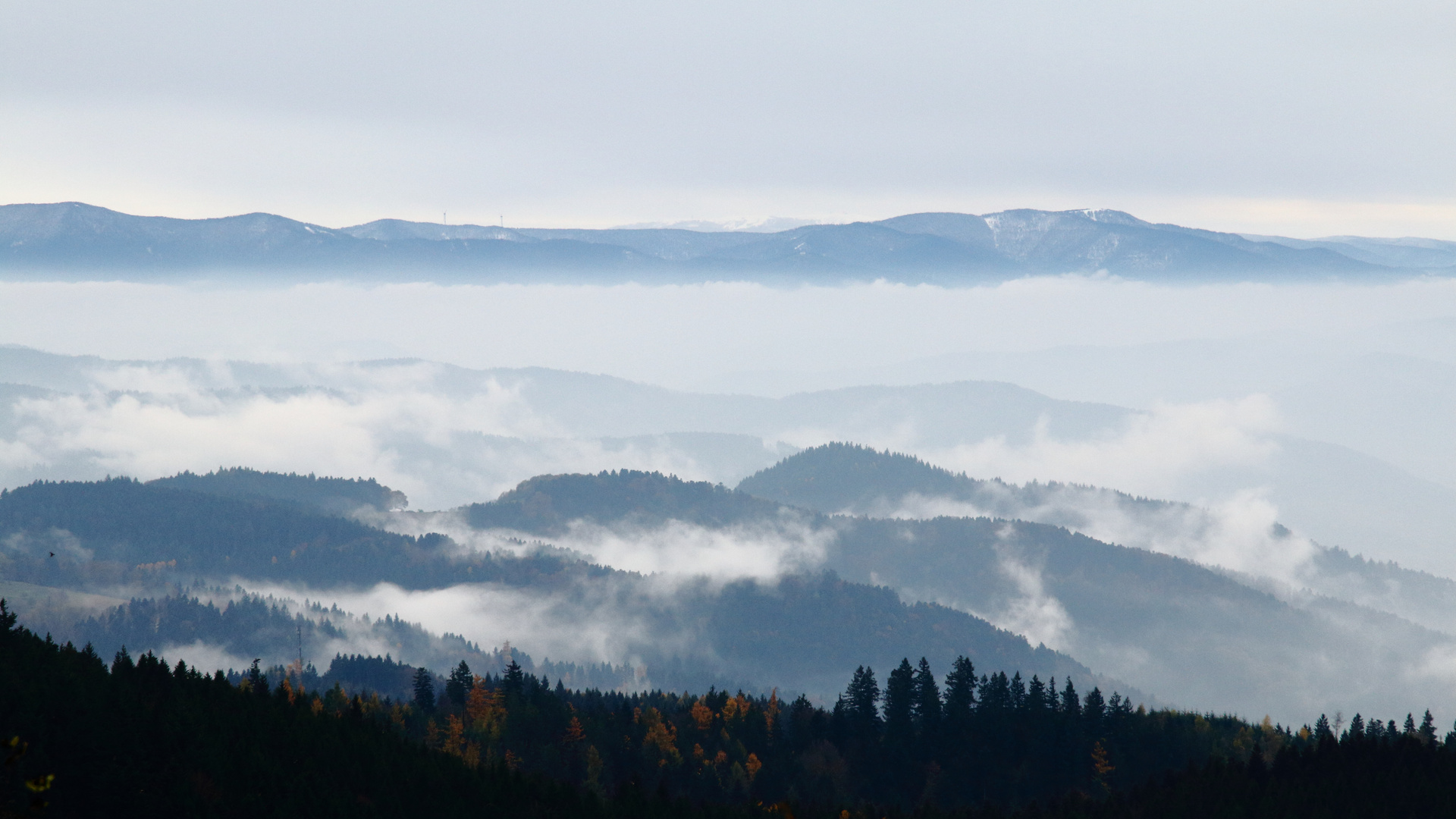 Süden Foto & Bild natur, landschaft, schwarzwald Bilder auf