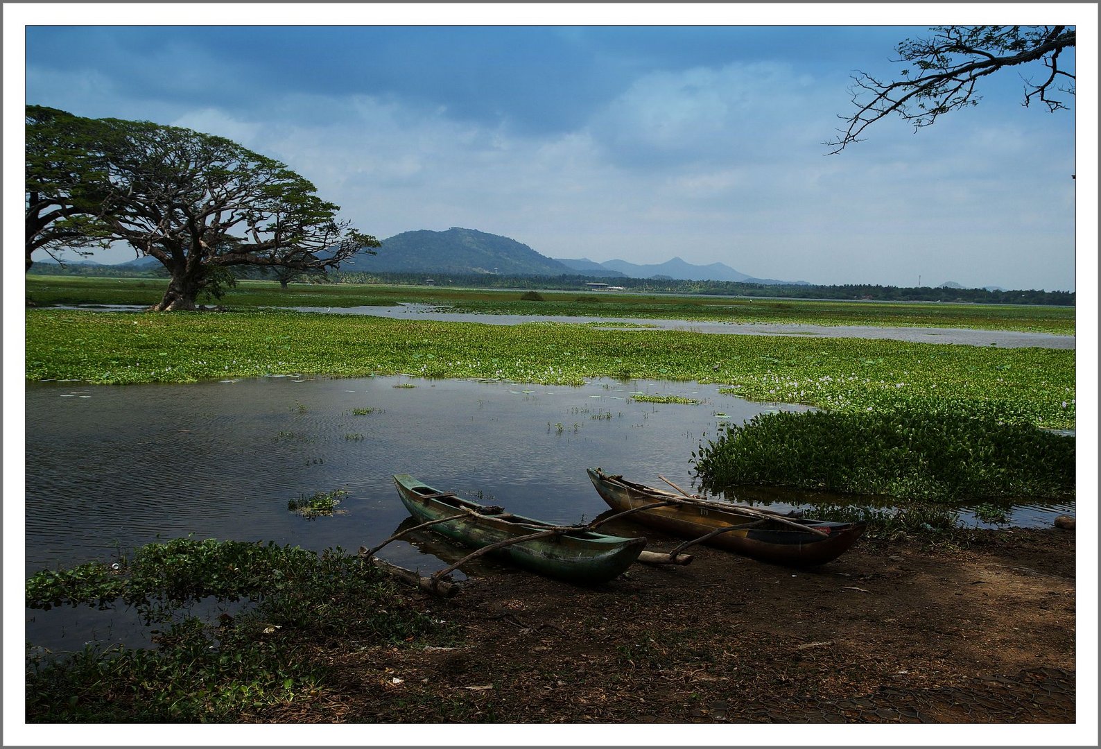 Süden Sri Lanka