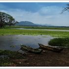 Süden Sri Lanka