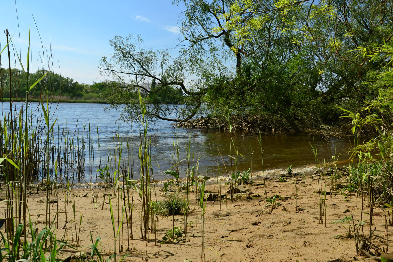 Süderelbe am Heuckenlock