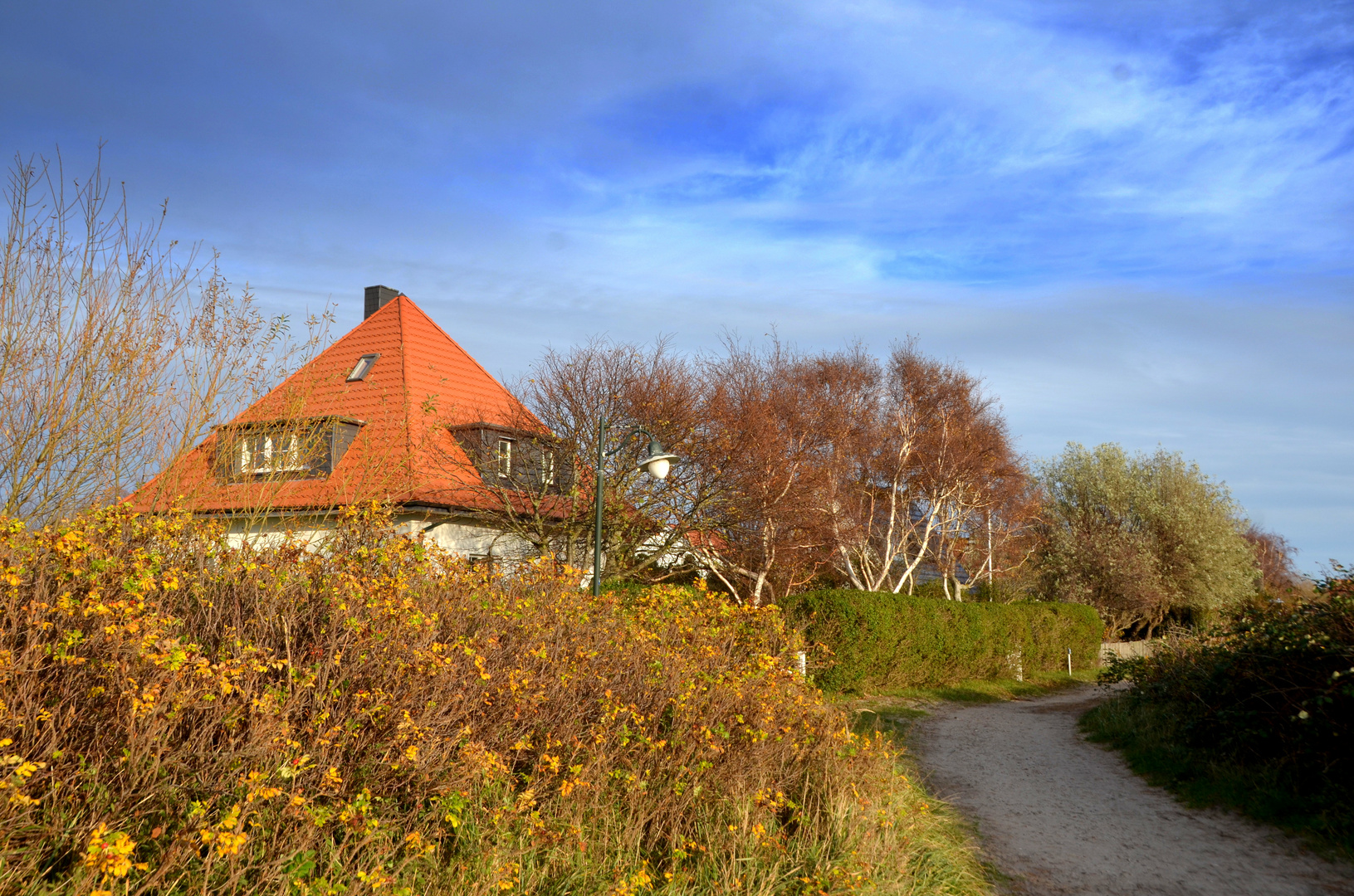 Süderende im Herbst / Insel Hiddensee 