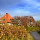 Süderende im Herbst / Insel Hiddensee 