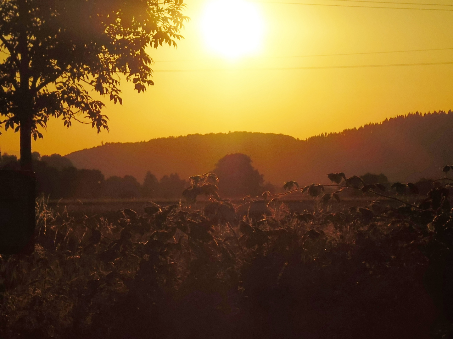 Südeuropäisch anmutendes Sonnenlichtspiel am Horizont