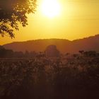 Südeuropäisch anmutendes Sonnenlichtspiel am Horizont