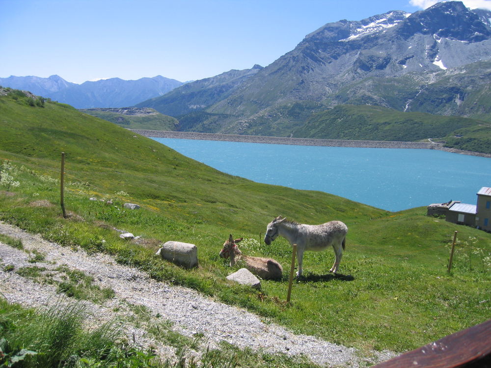 südfrankreich am wasser