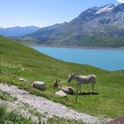 südfrankreich am wasser