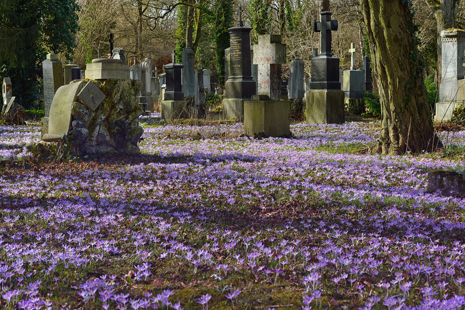 Südfriedhof