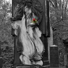Südfriedhof -  Die Lady mit der Rose