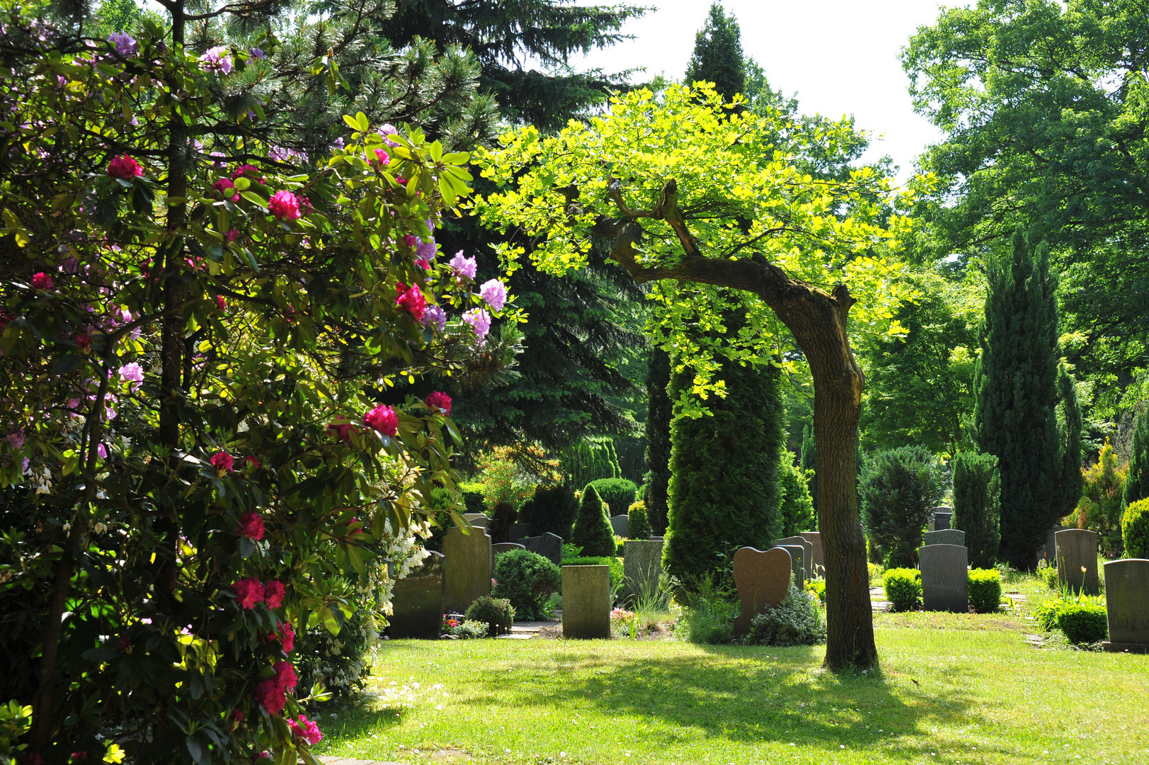 Südfriedhof im Mai #17