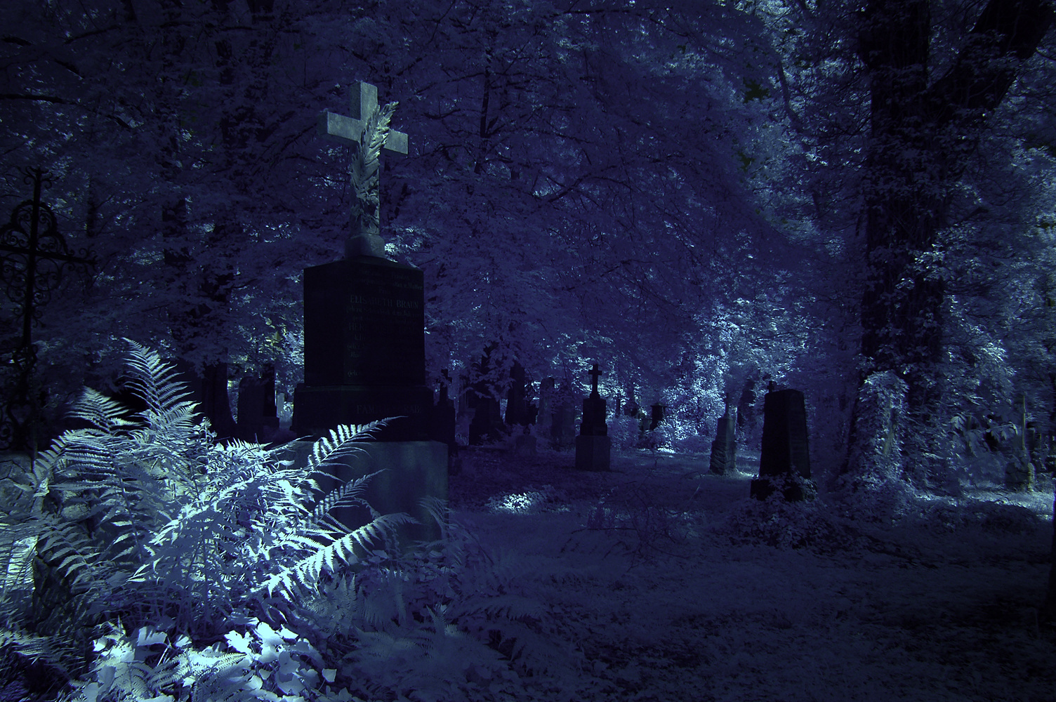 Südfriedhof im Mondlicht