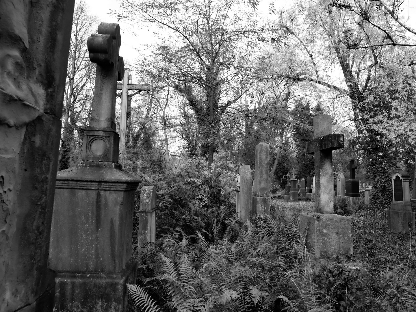 Südfriedhof Impressionen...