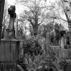 Südfriedhof Impressionen...
