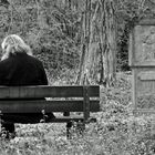 Südfriedhof - In Ruhe lesen