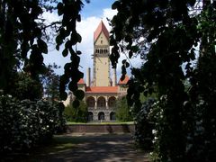 Südfriedhof Leipzig 3