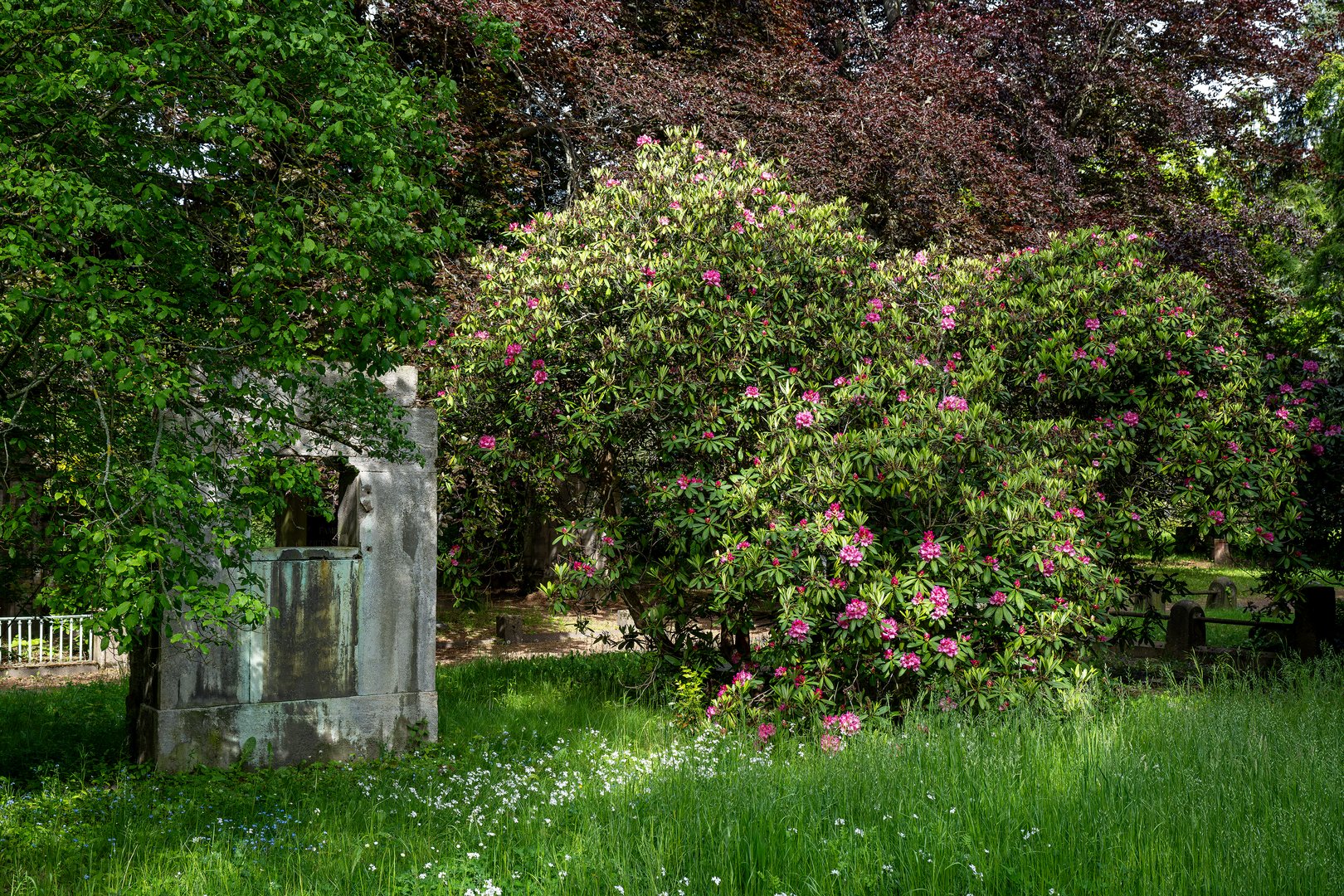 Südfriedhof Leipzig 50