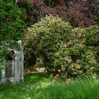 Südfriedhof Leipzig 50