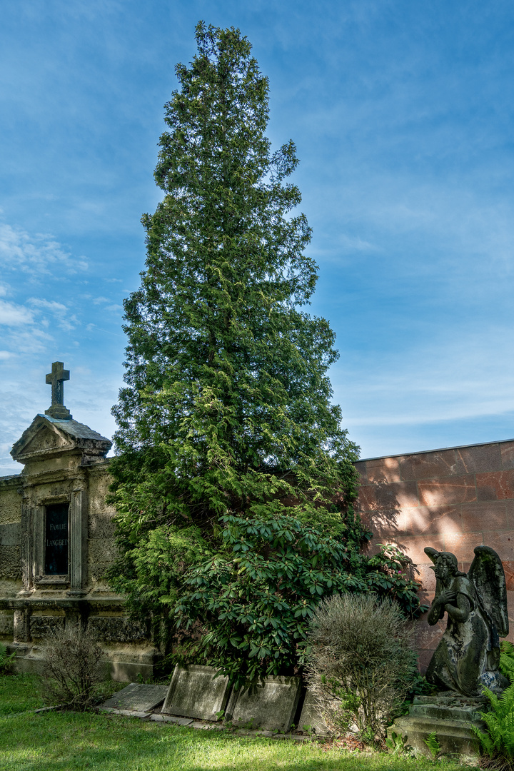 Südfriedhof Leipzig 52