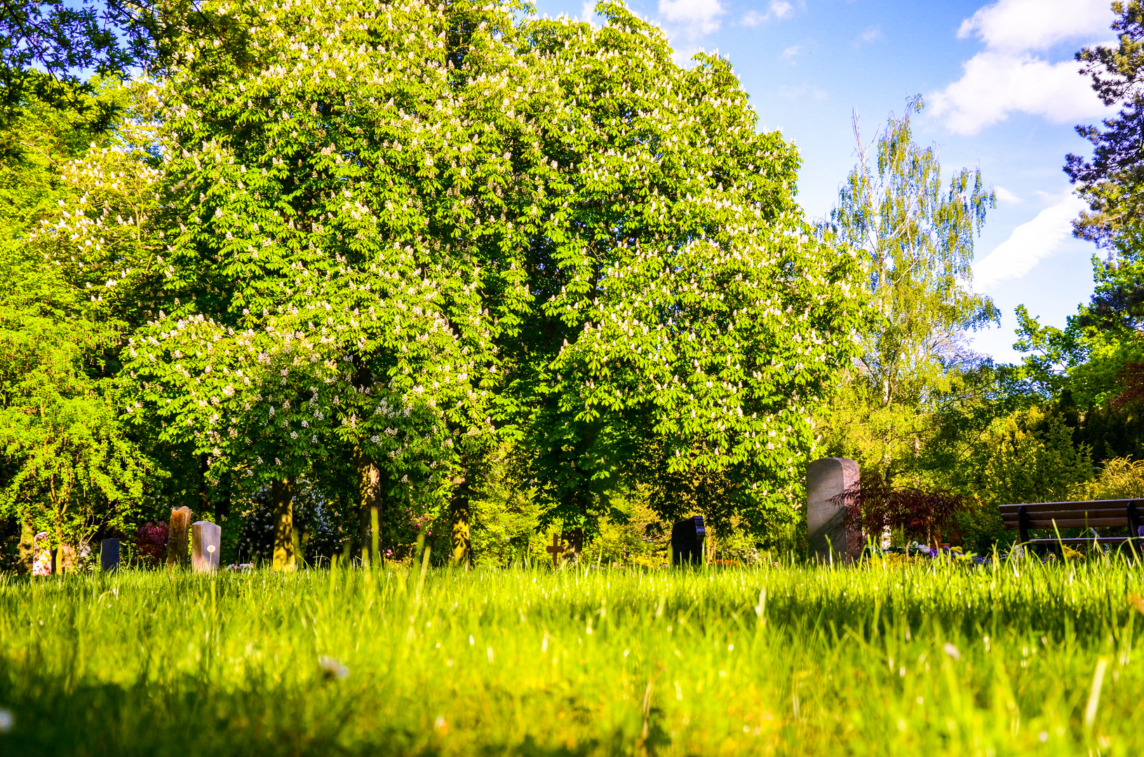 Südfriedhof Leipzig