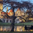 Südfriedhof Leipzig ... Spaziergang im Lockdown