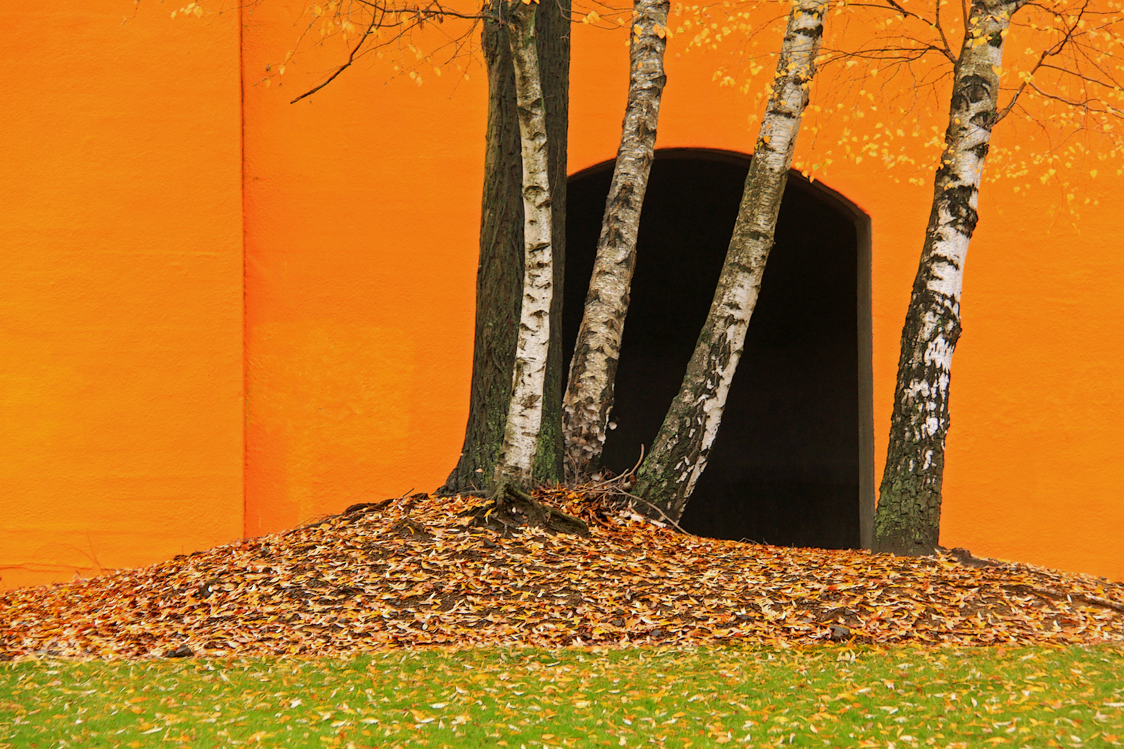 Südgelände im Herbst