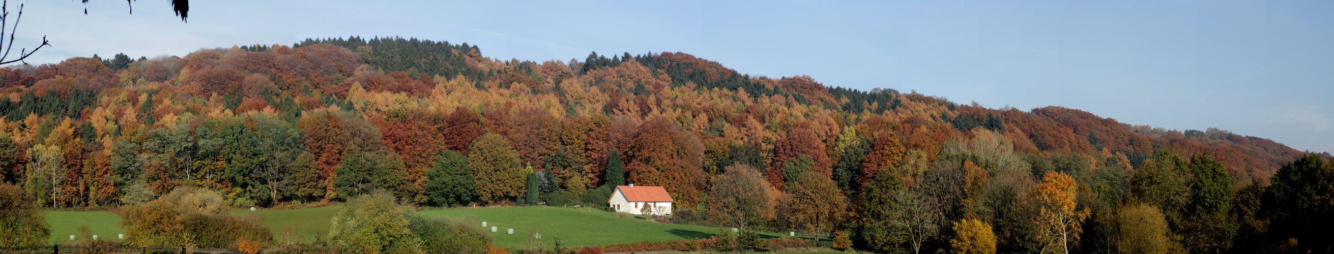 südhang tecklenburg im herbst