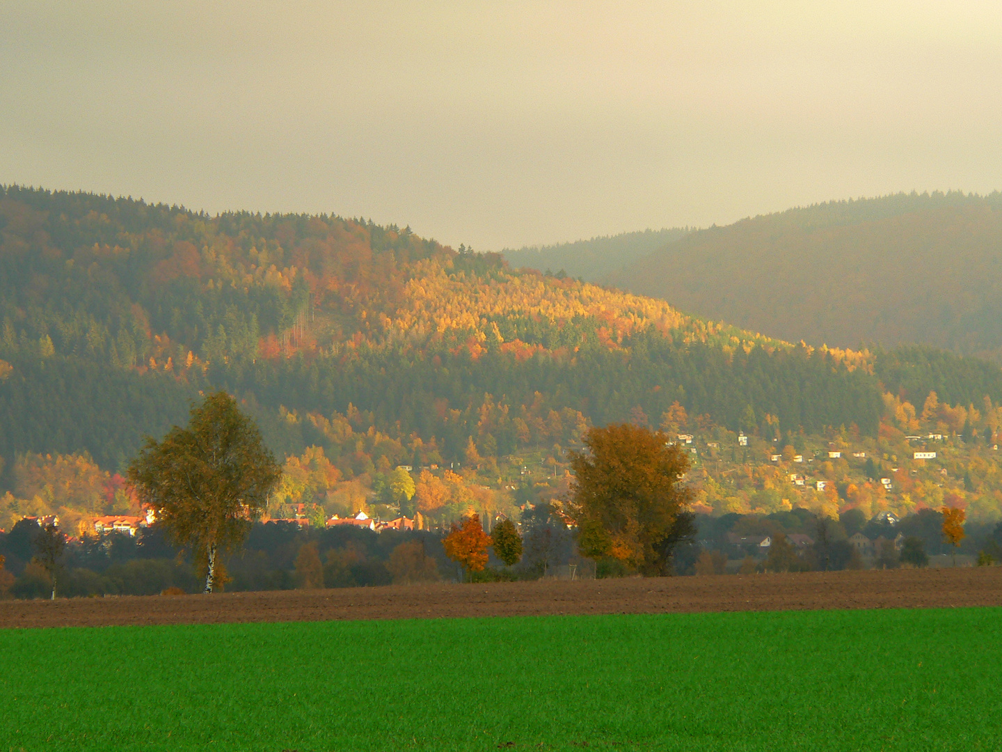 Südhang Thüringer Wald