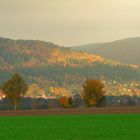 Südhang Thüringer Wald