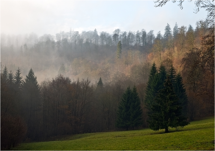 Südharz, Herbst im Wolfsbachtal