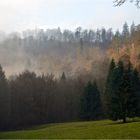 Südharz, Herbst im Wolfsbachtal