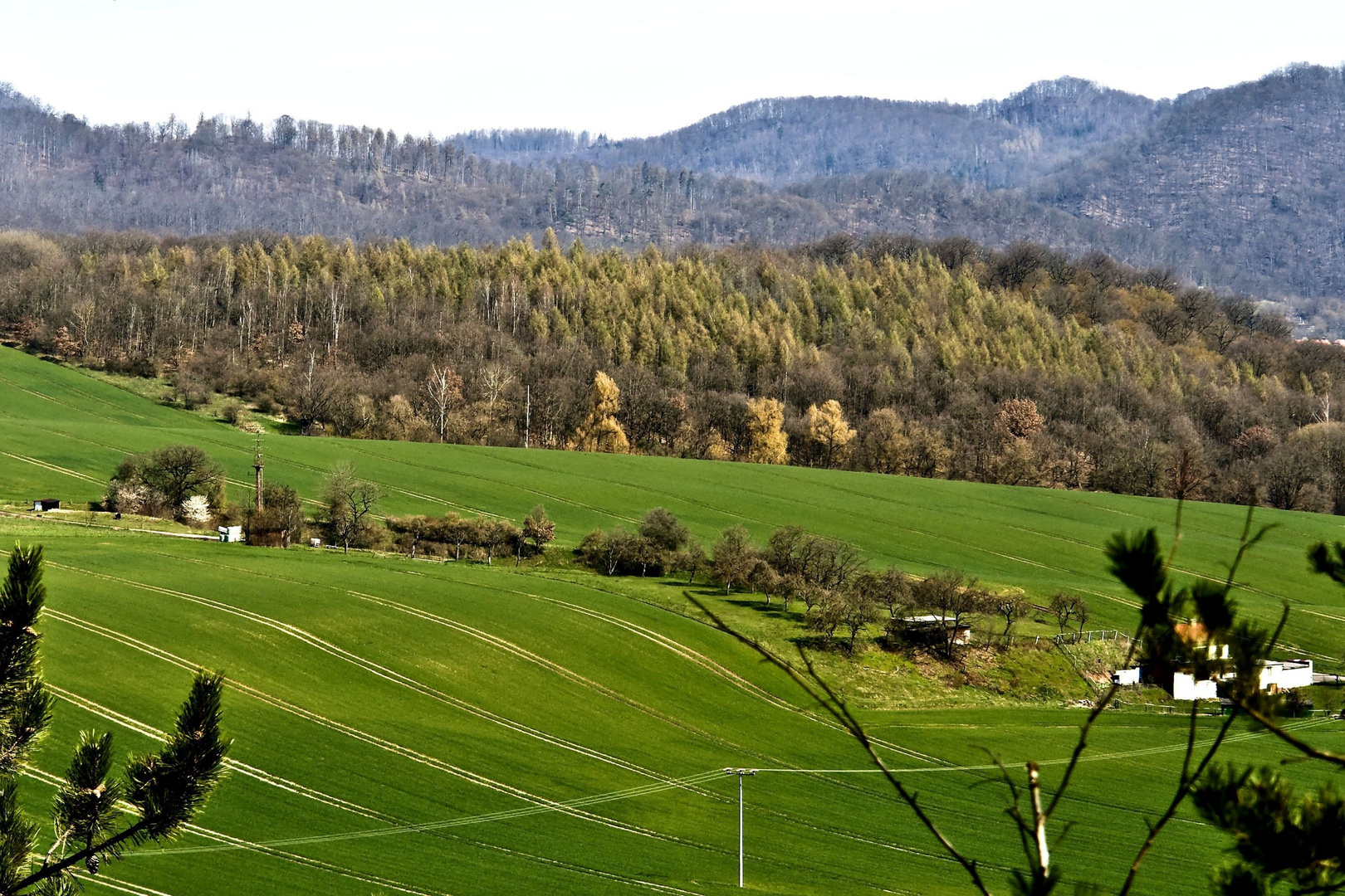 Südharz, Karst, Blick vom Mühlberg, Niesersachswerfen