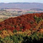 Südharz, Karst, Blick von den Sattelköpfen, Herbst