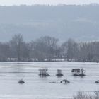 "Südharzer Seenplatte"