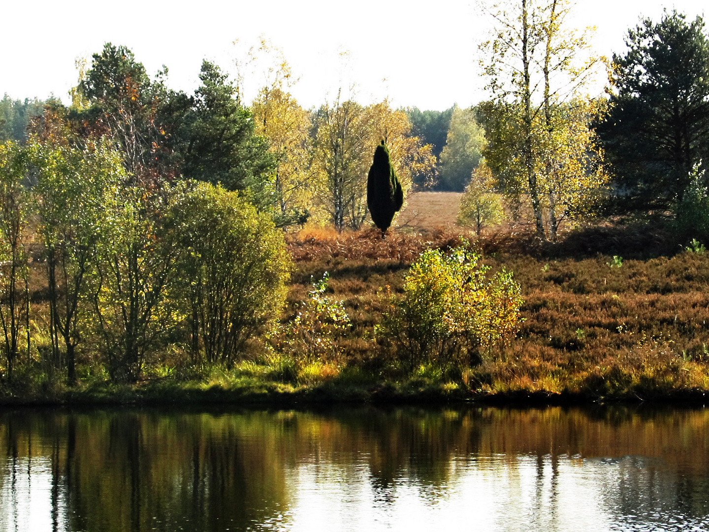 Südheide