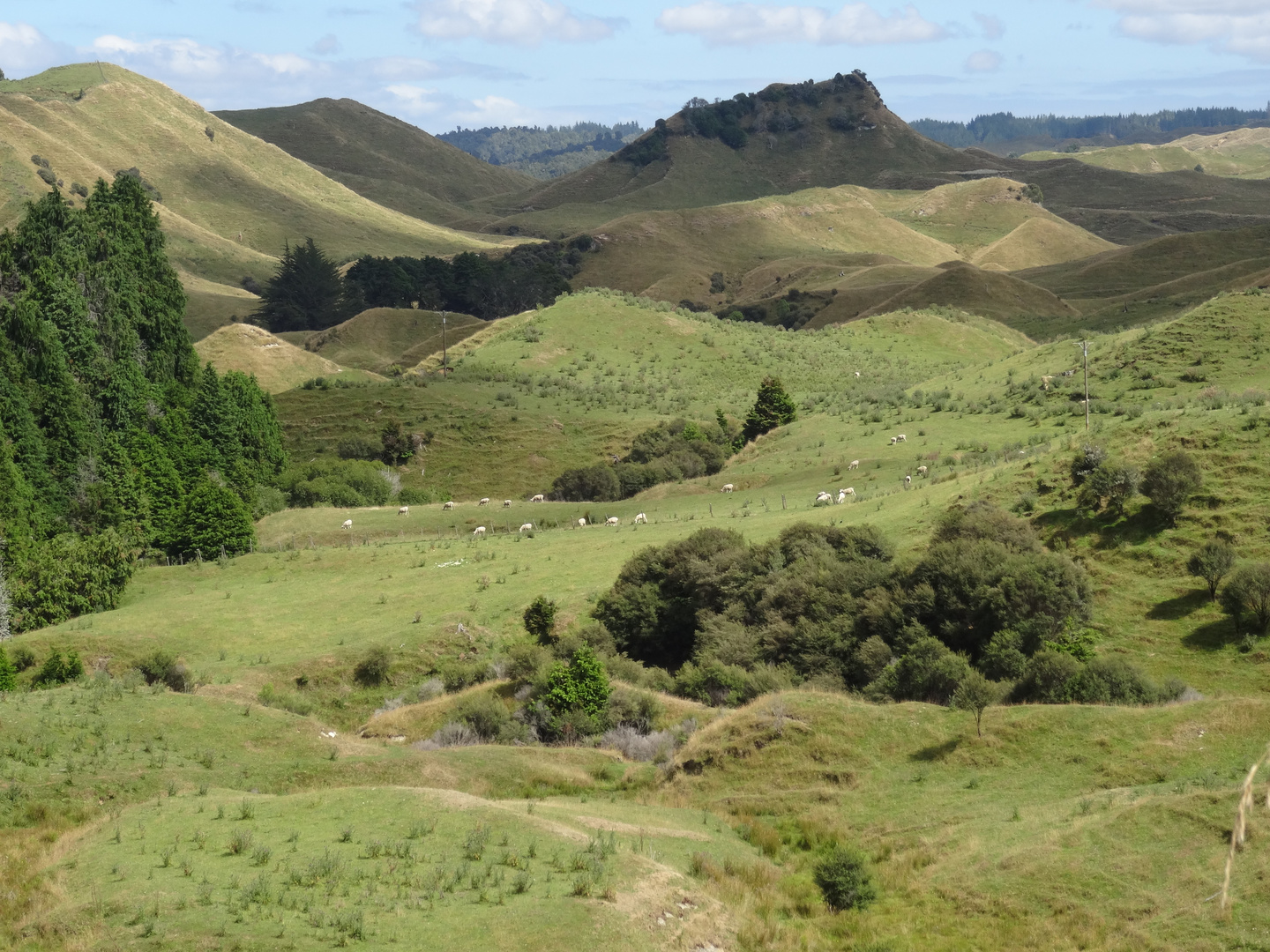 Südinsel II, Neuseeland