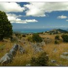 Südinsel mit Blick aufs Meer