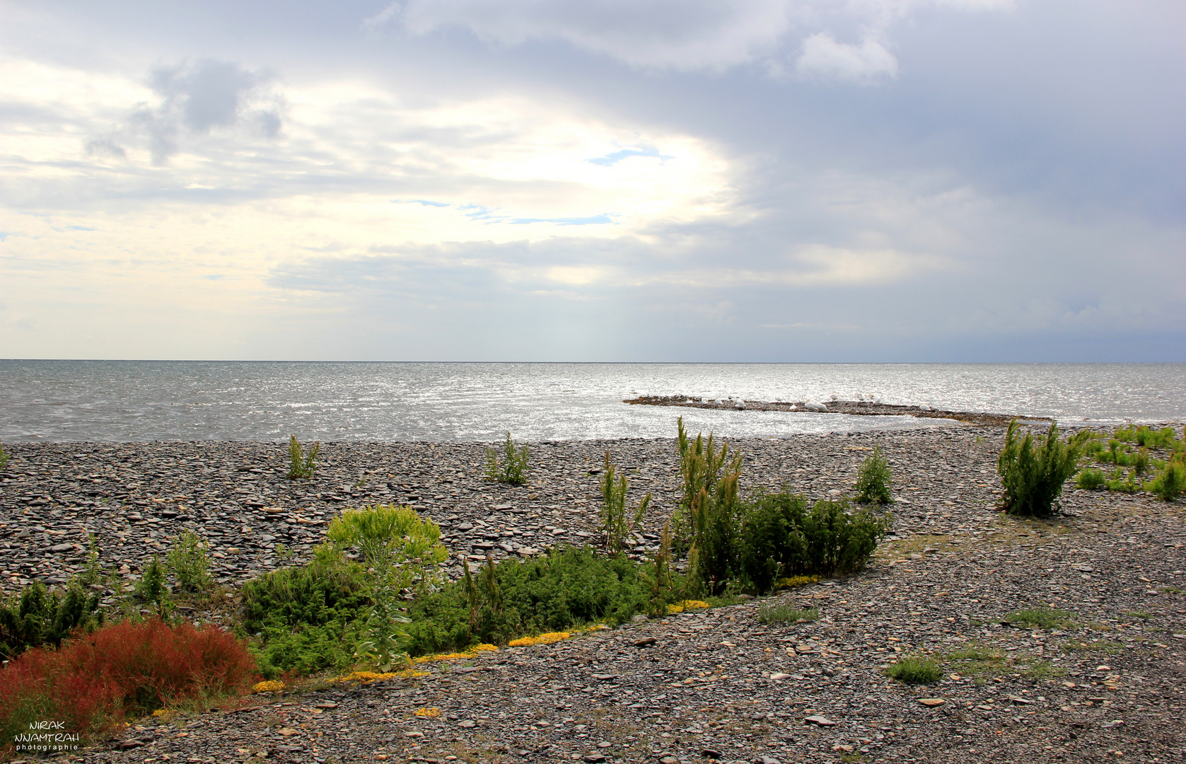 Südküste von Öland