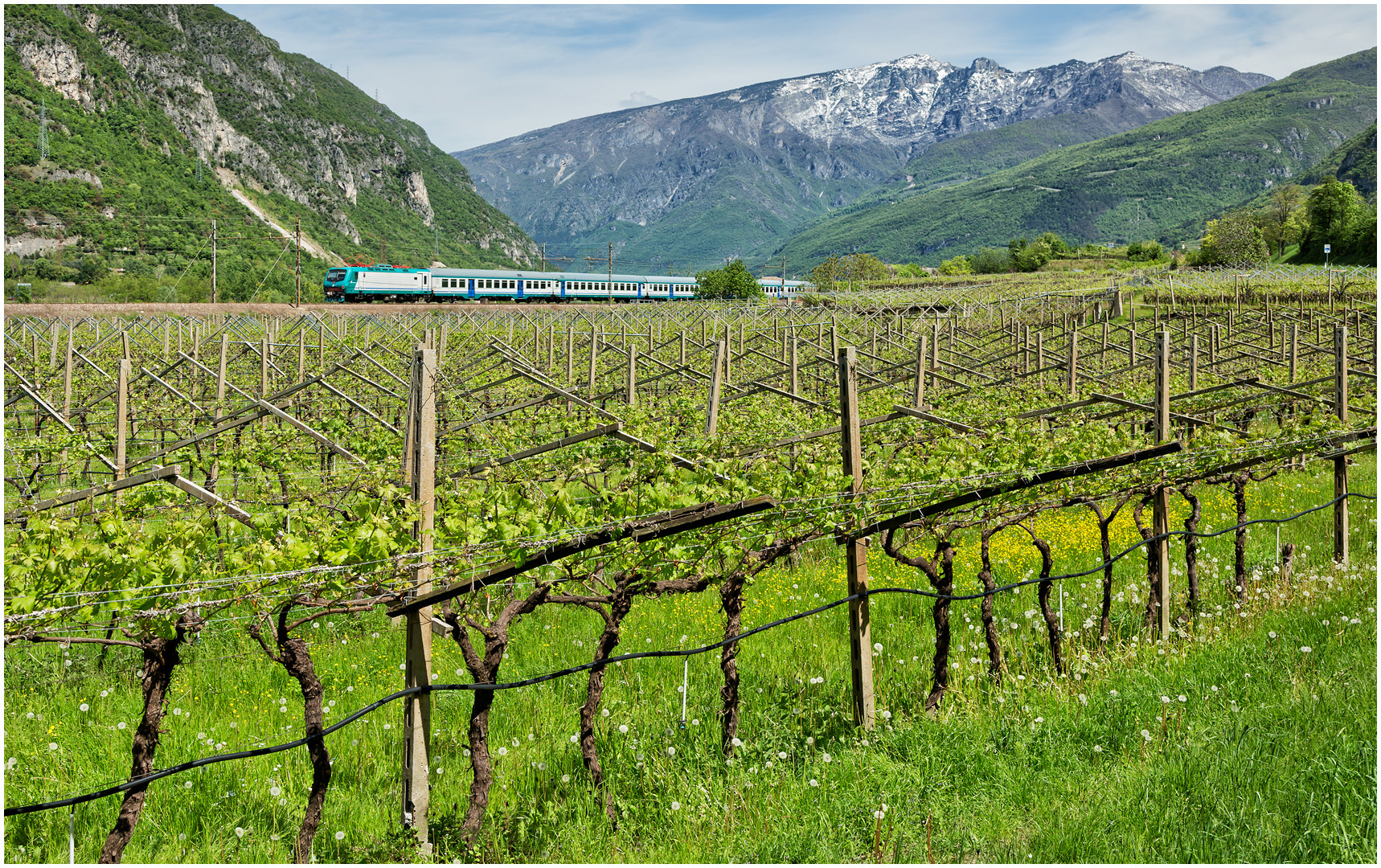 Südlich der Alpen CCLXXX