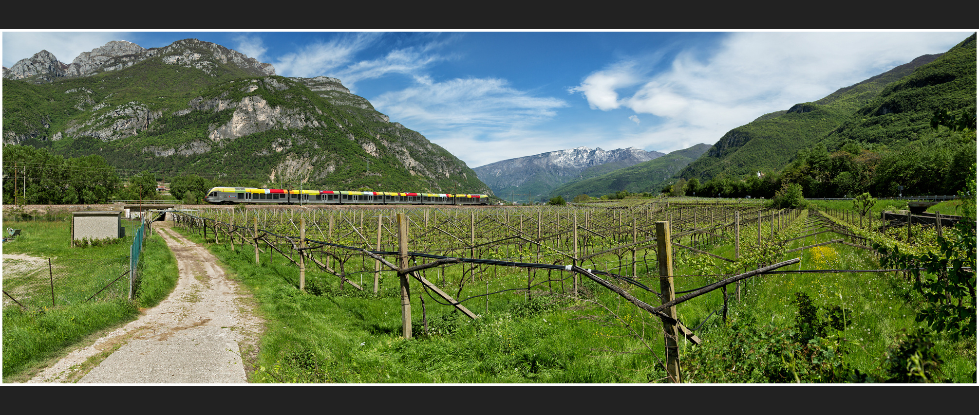 Südlich der Alpen CCLXXXI