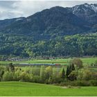 Südlich der Alpen CLXXXII