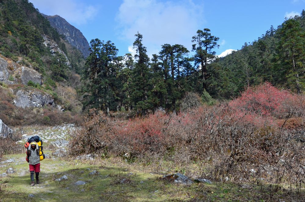 Südlich von Bhimtang auf dem Manaslu-Trek